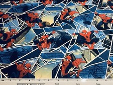 ⭐️Spiderman🕷️Window