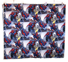 SPIDER-MAN City Block Web